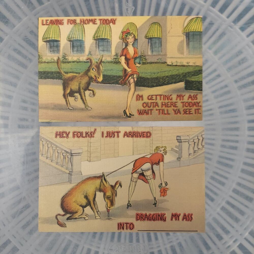 Vintage Asheville Post Card Company Donkey Pun Humor Linen Lot 2 Count